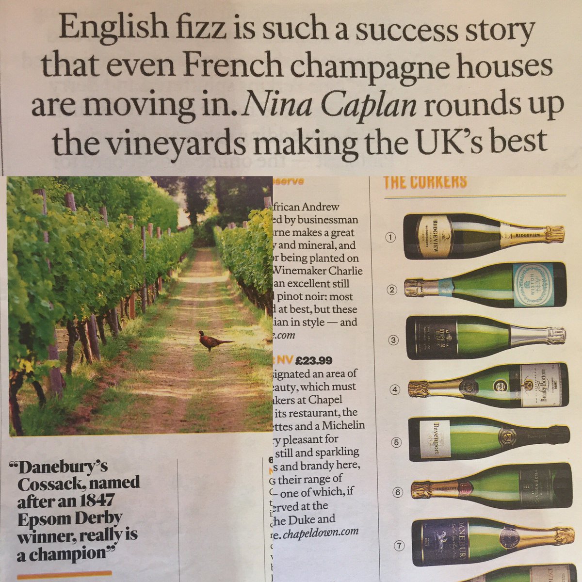DaneburyFizz's tweet photo. Thankyou for the appreciation @ninacaplan @thesundaytimes 
#EnglishSparklingWine
#EasterBubbly 🐰🐥🍾🥂
@PremiumUKWines https://t.co/1NnXAdDhnF