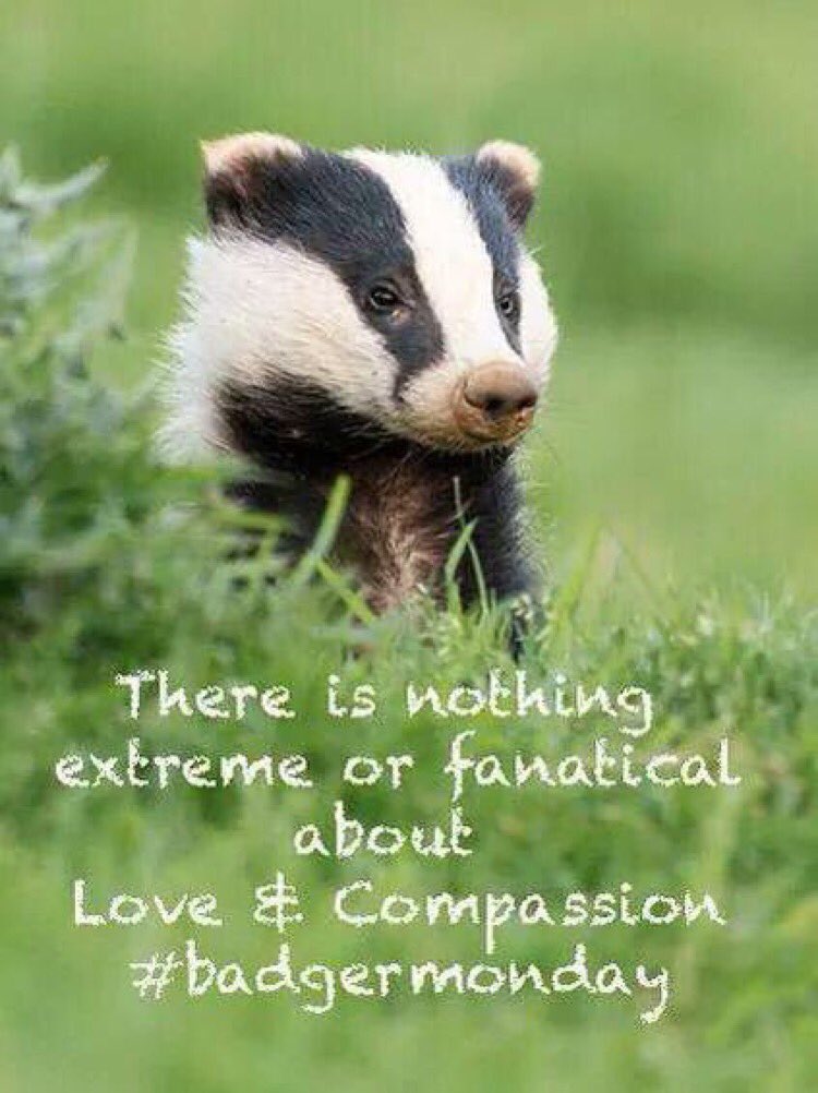 #badgermonday