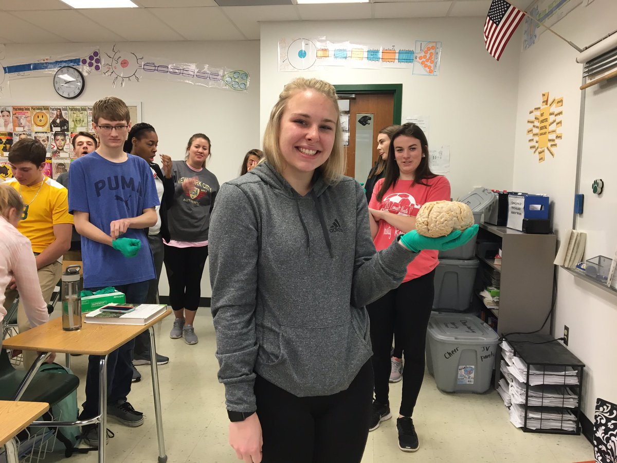ConceptsOfPsych's tweet photo. Brain Day! https://t.co/pxlfCEOIqW