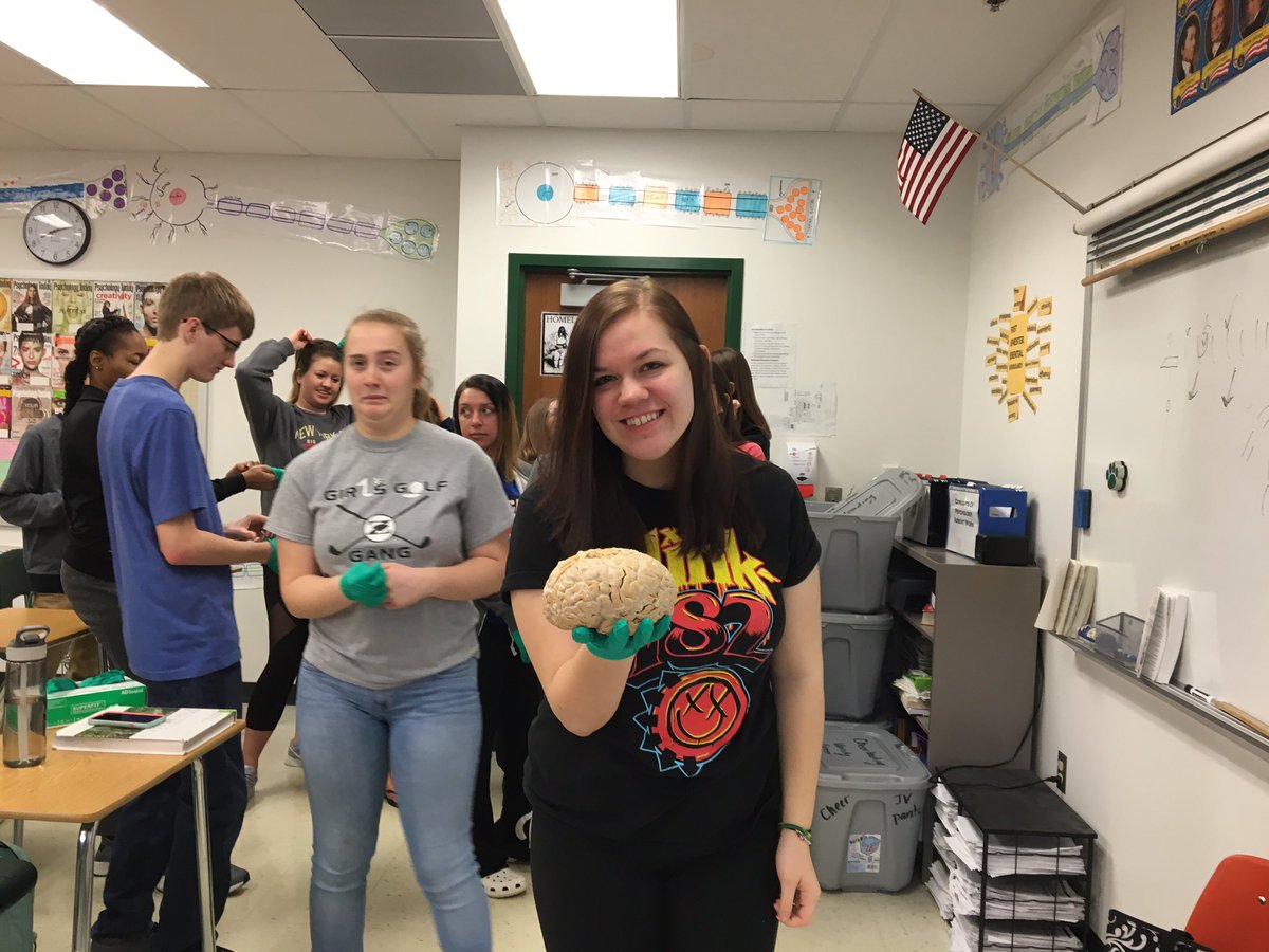 ConceptsOfPsych's tweet photo. Brain day! https://t.co/5vEZZicgpp