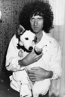 Sra_Funster's tweet photo. I wish a happy #QueenDay :)
#Queen @aqueenofmagic @QueenFacts1991 @OIQFC @OfficialRMT @DrBrianMay https://t.co/7uLl3vGwZl