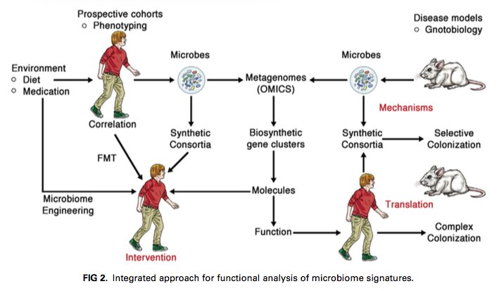 mikrobiom's tweet photo. Step beyond the „correlation era“ of #microbiota research; integrated approach to identify functional mediators https://t.co/qbUnRSliAj https://t.co/X3DEjbAvEO