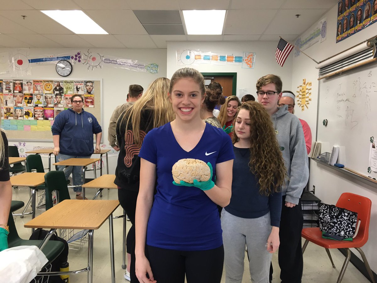 ConceptsOfPsych's tweet photo. Brain day! https://t.co/tif9Pq4BVV