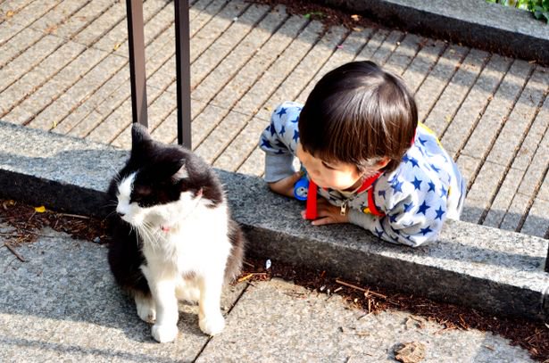 友達だって！？
ケッ、そんな下らないもん信じてるのは
お前さんだけだぜ。