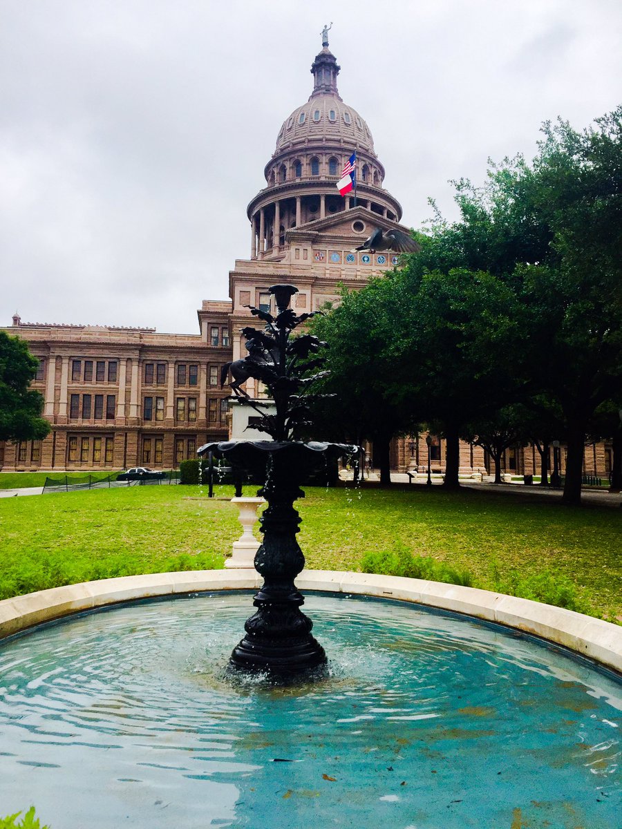 drlauraz's tweet image. Goodbye, Austin!! #srcd17 🛫