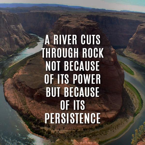 TotalPractice_'s tweet image. A lesson from the natural world! #MondayMotivation #Entrepreneurs #Startups #SMEs #Lawyers #LawFirms #Success