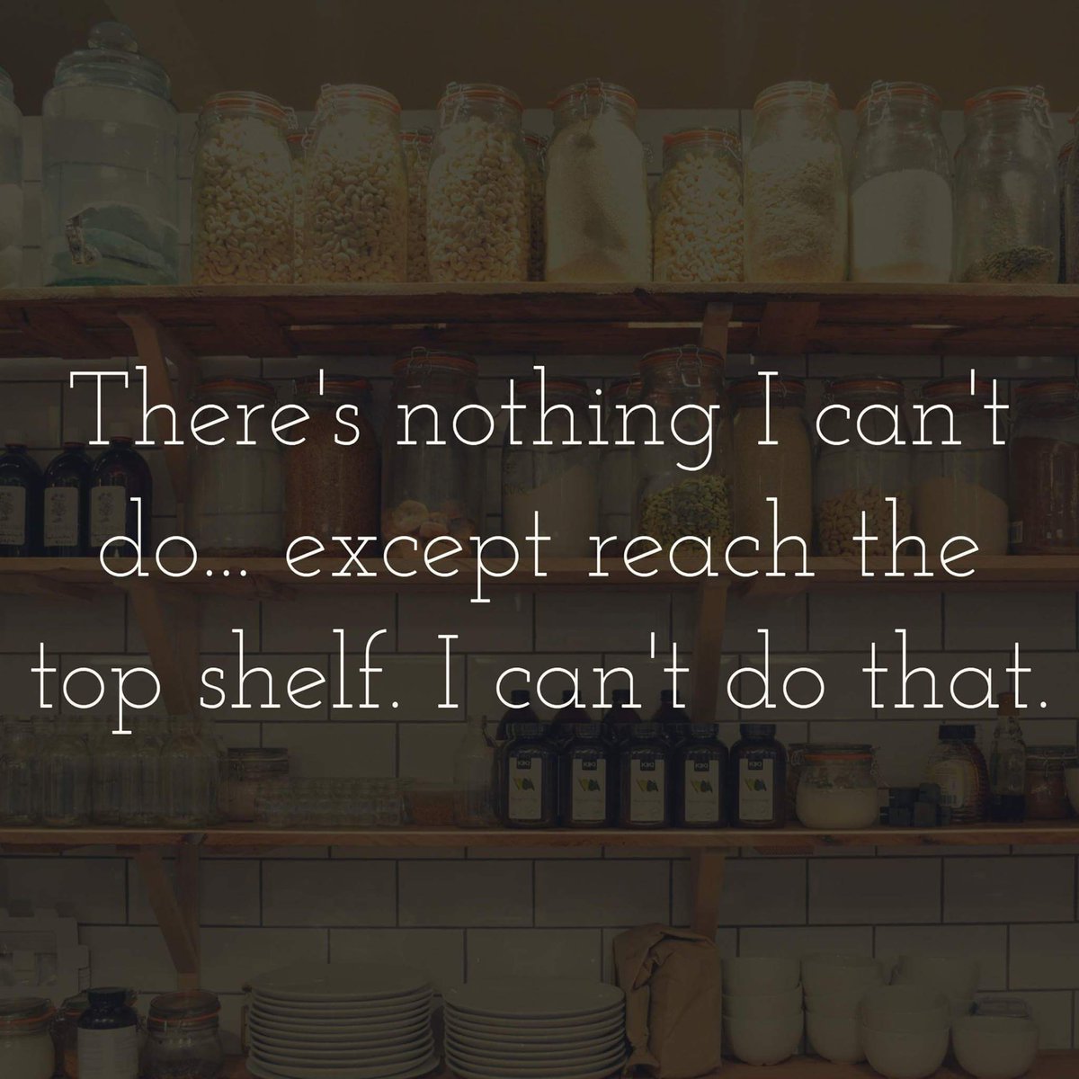 Image result for there is nothing i can't do ... except reach the top shelf