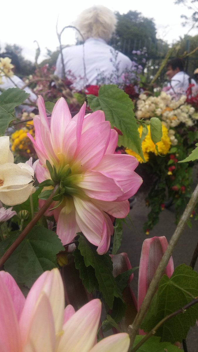 sagresnoi's tweet photo. #flowermessenger #makotoazuma #japanhousesp #sp2017 https://t.co/b3UtgFBium