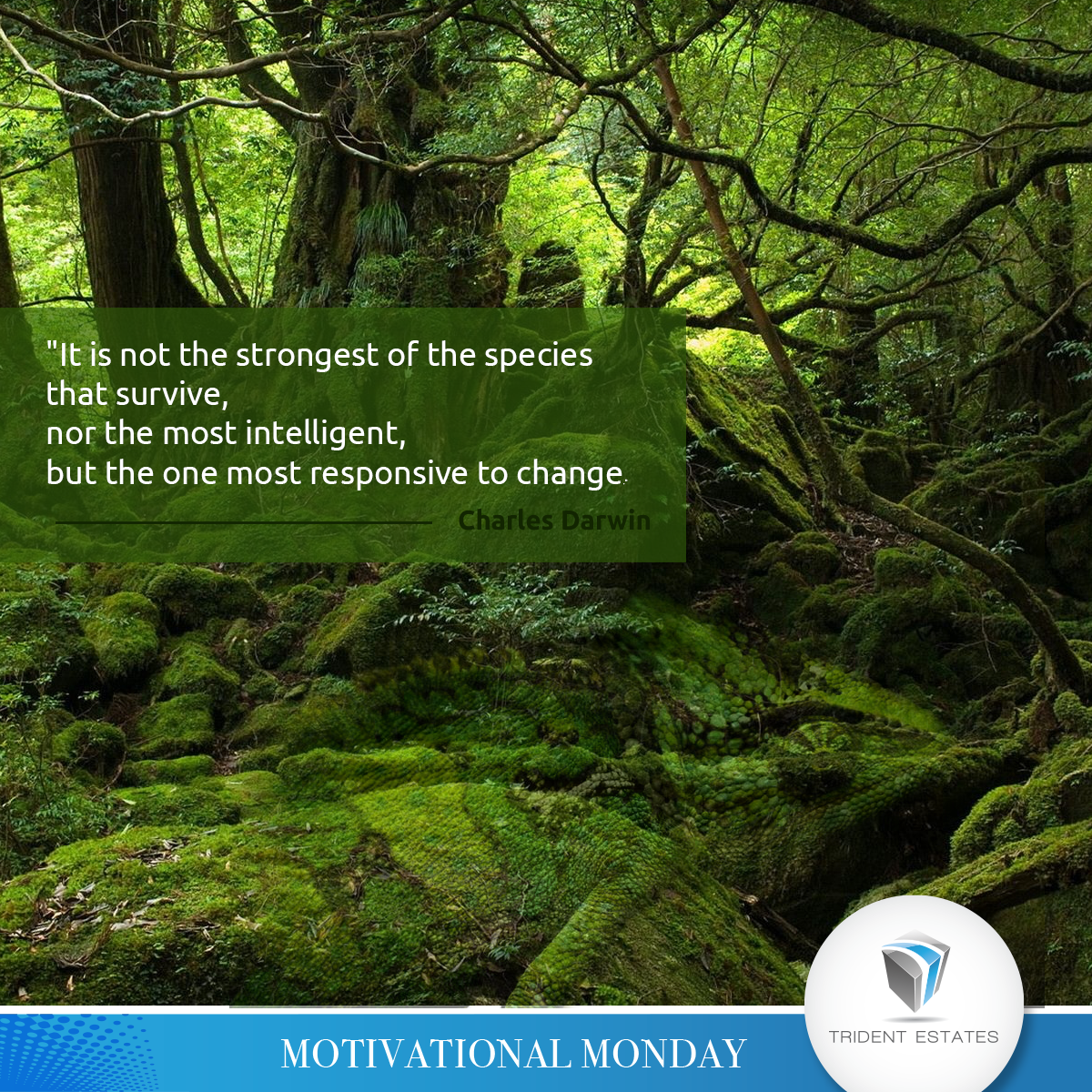 Trident_Estates's tweet photo. Motivational Monday
#TridentEstates #CreateLiveInspire #MotivationalMonday https://t.co/bAkPhQM4gA