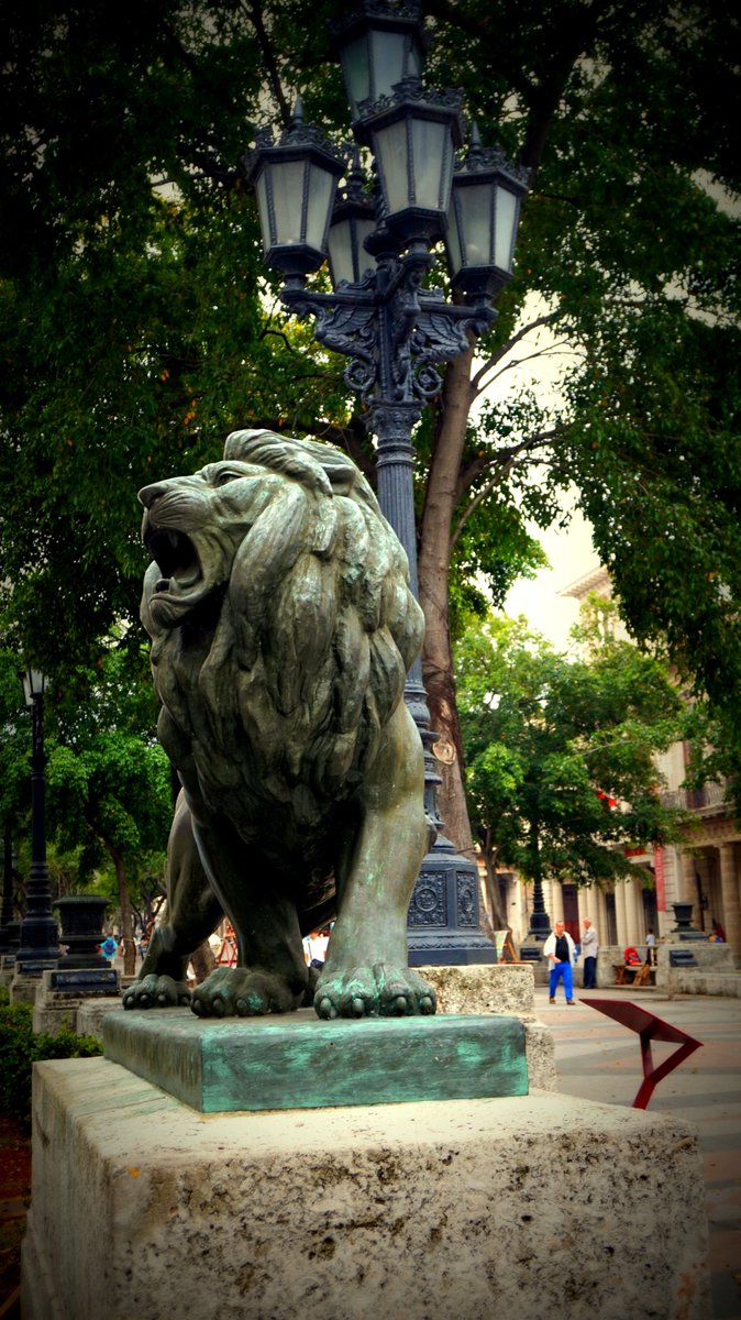 CubaontheRoad's tweet photo. Paseo del Prado, Havana
https://t.co/zY8D4u9ZGD https://t.co/3hOKbqrrmm