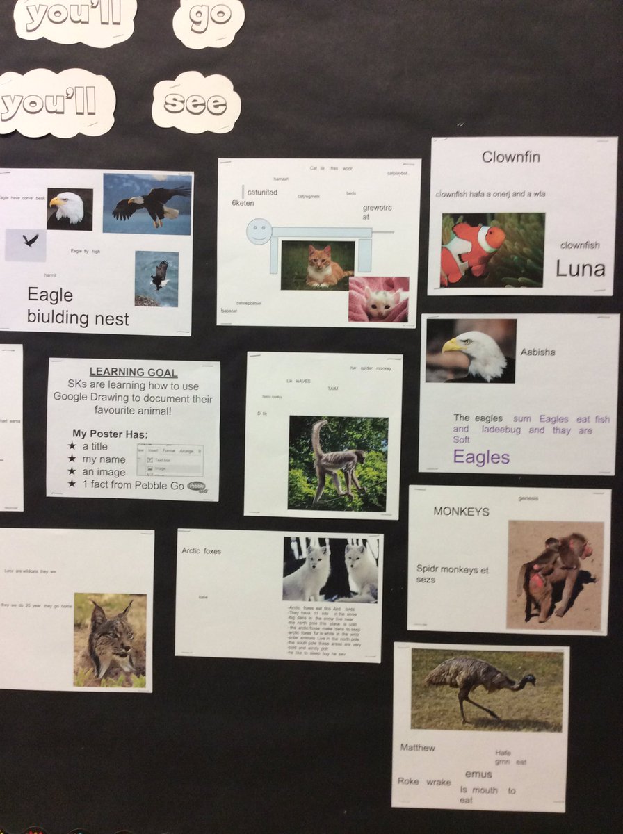 mssuppa's tweet photo. SKs used Google Drawing to document their favourite animal!! They used their Google Drive too! #GAFE #FDK @EarlyYearsTDSB @tdsb @tdsbVL https://t.co/uYCjZa2jaD