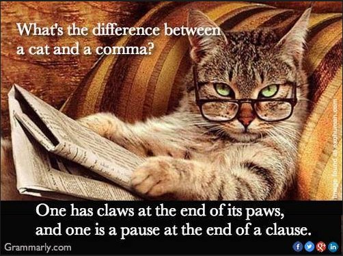 babla's tweet image. claws, clause, /klɔːz/ and /klɔːz/? :O #LanguageJoke #English #Fun