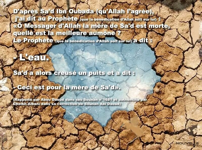 Nouvelleoptique's tweet photo. #puits #musulmans #nonMusulmans #aide #humanité #daawa
Une petite précision..
Alors que dire d'un être humain!
https://t.co/GVY9rYME4p Rt https://t.co/gZQ9yOwMa2