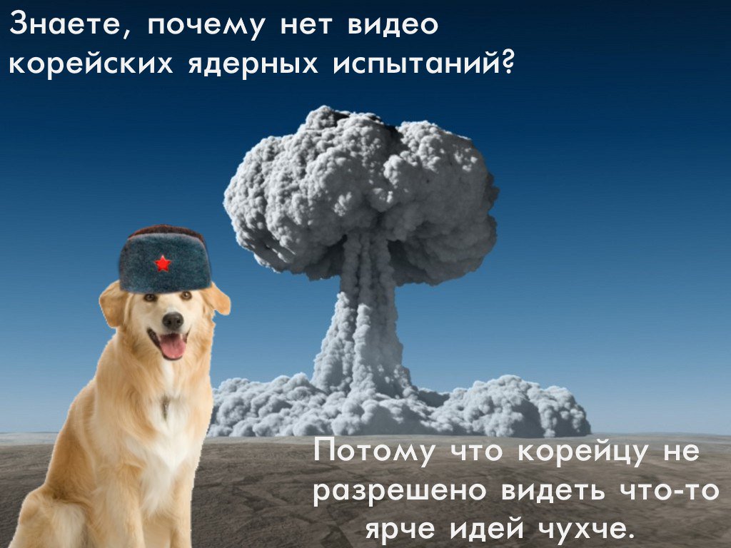 C9DbSzaW0AA9uJ2.jpg