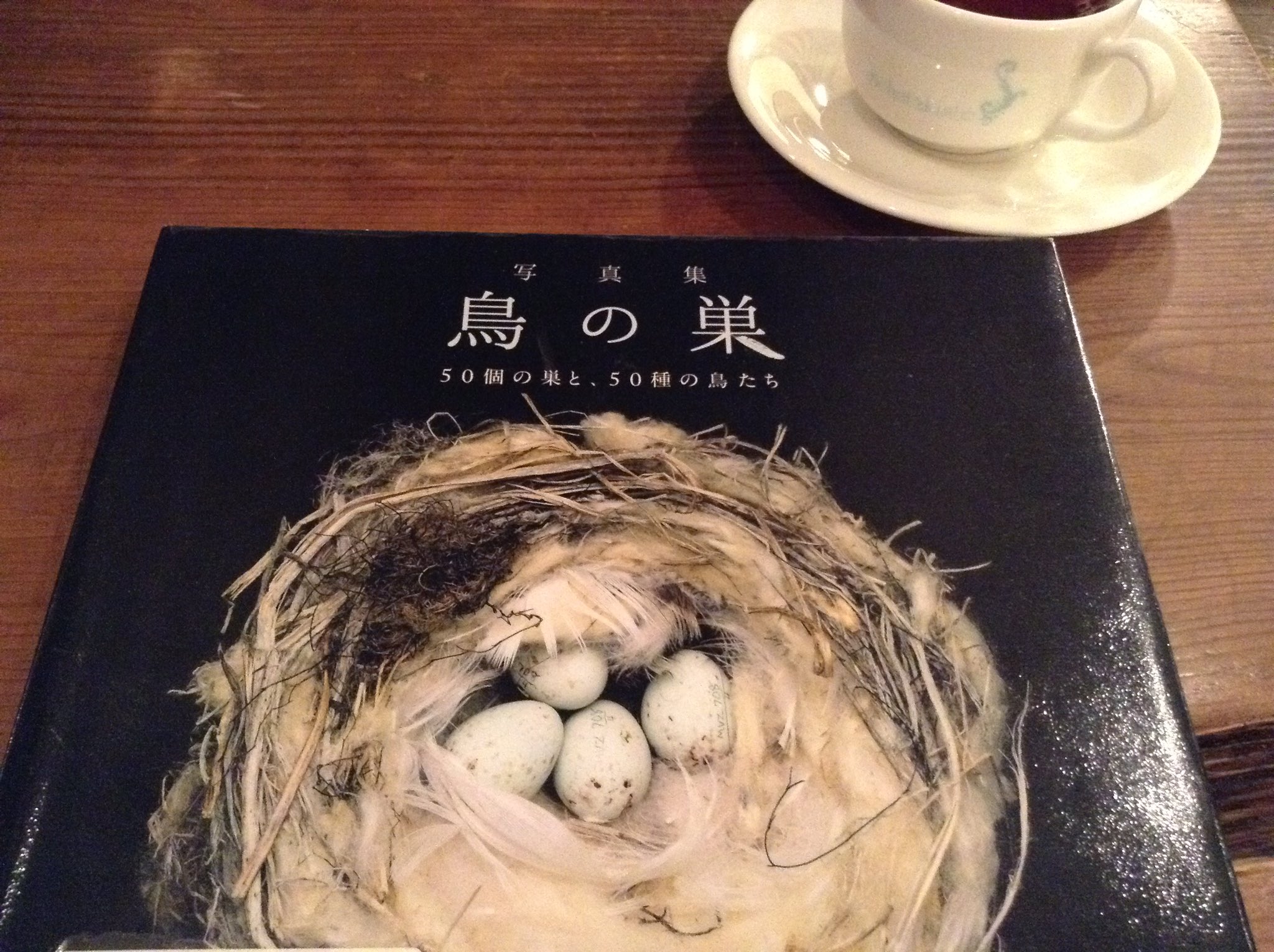 大勧め 鳥の巣 写真集 50個の巣と 50種の鳥たち アート エンタメ ホビー 大勧め 鳥の巣 写真集 50個の巣と 50種の鳥たち アート エンタメ ホビー