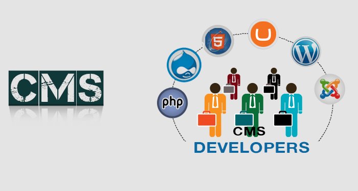 evincedev's tweet image. Hire Certified CMS Developer from Evince -goo.gl/UUWBOS

#HireCMSDeveloper #CMSDevelopmentcompany