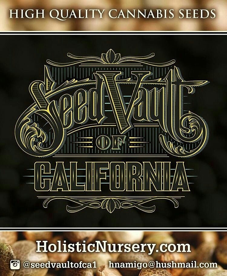 Horticulture360's tweet photo. High quality seeds from Seed Vault of CA. 
@SeedVaultofCA1 was a Featured Exhibitor of #Horticulture360 at The @BIGIndustryShow https://t.co/QNIlOMUyzu