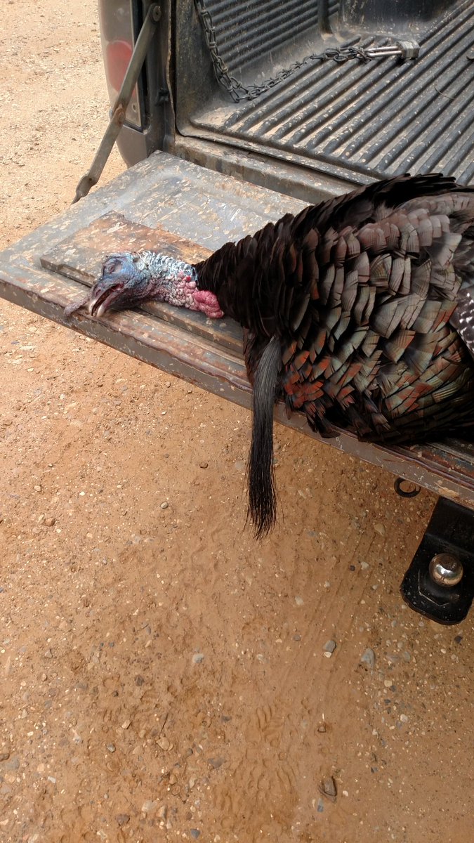 Opening day was good