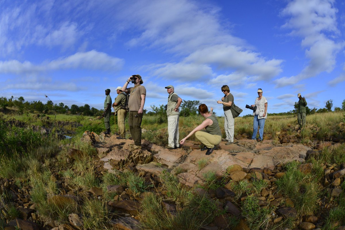 Infinite_Africa's tweet photo. Amazing African game walk at Machampane Wilderness Camp in Mozambique. #Mozambique #bushholiday #gamewalk https://t.co/CehikcO9um