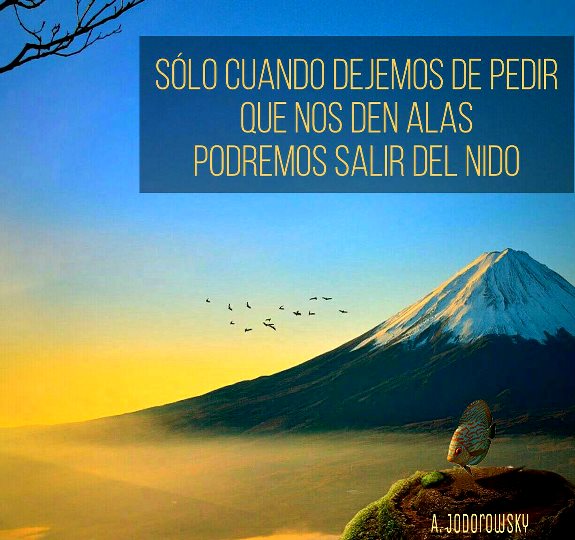 ByJoseACastillo's tweet photo. Una refleión del escritor sanador psicomagico @alejodorowsky https://t.co/0nmFjtlfKK