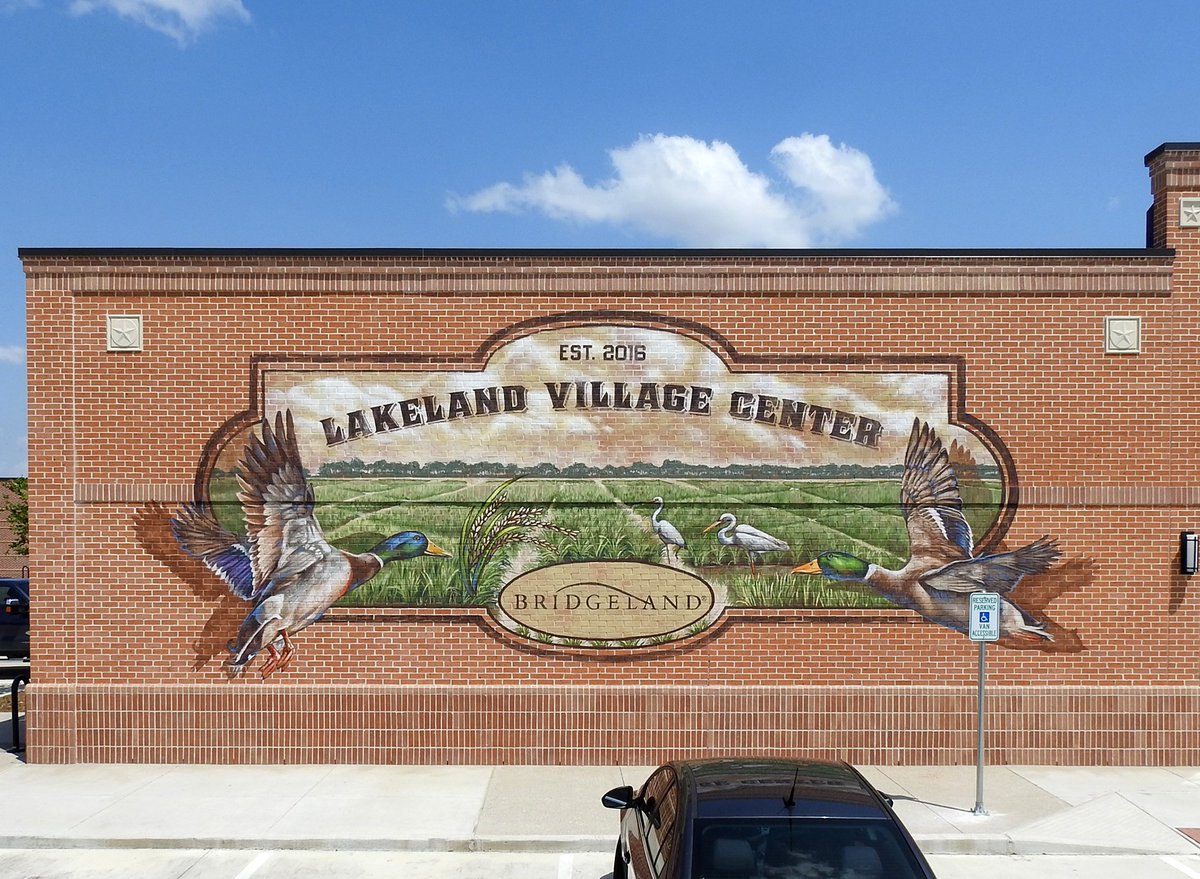 New in @BridgelandMPC #mural by #anatronen