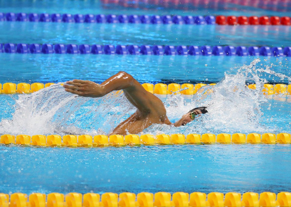 L'aereo per i Mondiali di nuoto di #Budapest2017 è già pieno... di azzurri✈️! 20 pass individuali e 6 staffette!🏊#ItaliaTeam <a href="/FINOfficial_/">Federnuoto</a>