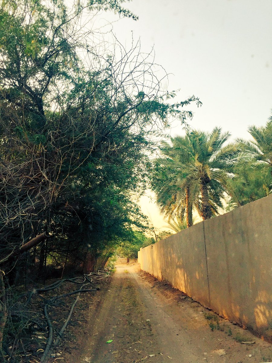 قرية اذن (@Adhen_villeage) | Twitter