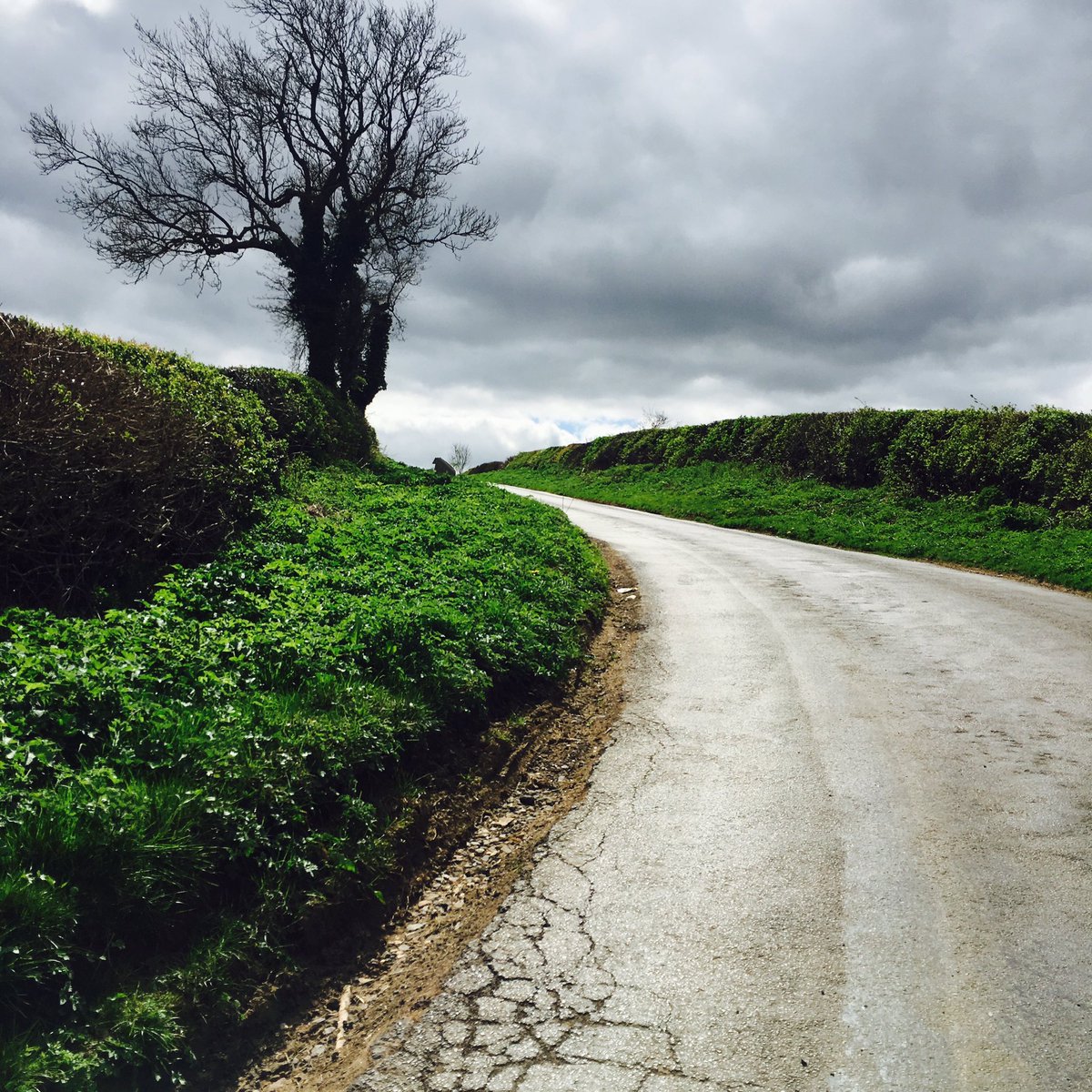 warrend40's tweet photo. I spy with open eyes looking for hills from wherever I look, soaking up views, sounds and pain as I go. #lunchtimeride @rapha #triadlife https://t.co/4lumBqaiZn