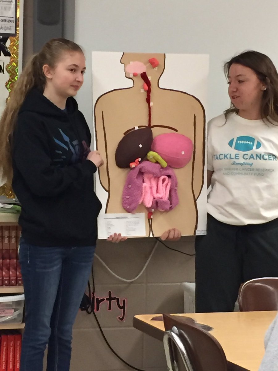 KDaneFACS's tweet image. #BodySystem #Models in #CareersInHealthCare turned out fantastic! #Creative #Knitted #digestive #skeletal #FACS #CTE #GSLcultureofsuccess