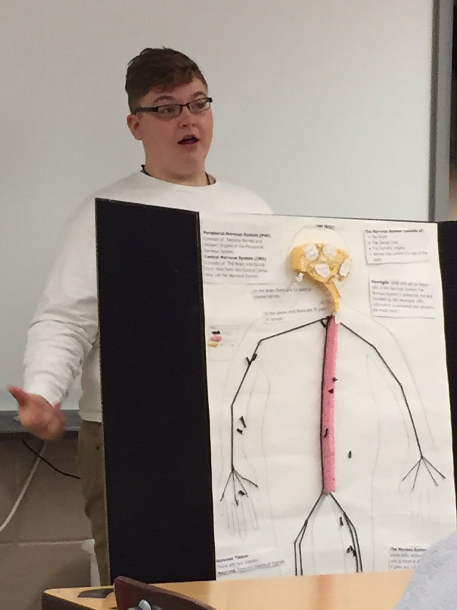 KDaneFACS's tweet image. #BodySystem #Models in #CareersInHealthCare turned out fantastic! #Respiratory #nervous #FACS #CTE #circulatory #GSLcultureofsuccess