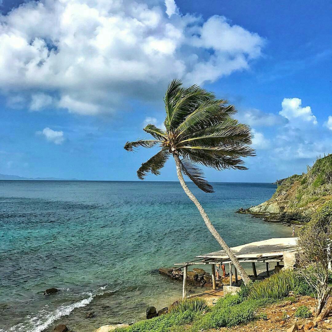 Buen día desde Los Frailes 🐠❤️️ un archipiélago hermoso que debes conocer! Isla de Margarita🌴🚤 ¡Feliz Día!