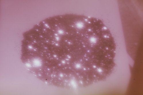 northandfound's tweet photo. Last post from our resident Hillaree Hamblin. Read about her playful experiments! https://t.co/A7XkINFyDu https://t.co/p4c2evow5M