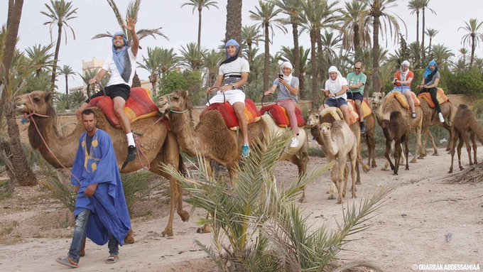 View image on Twitter View image on Twitter