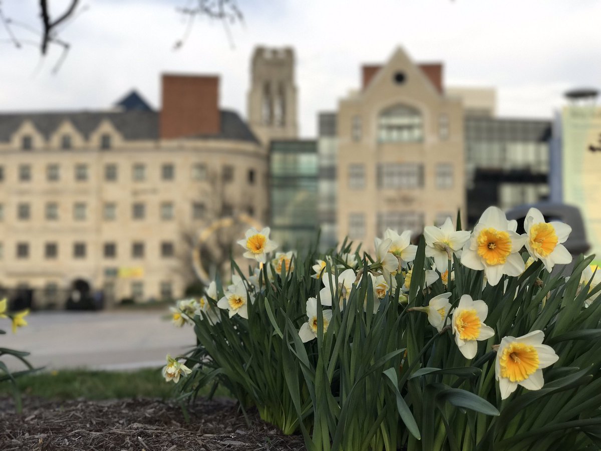 Okay, now it's officially Spring on campus!