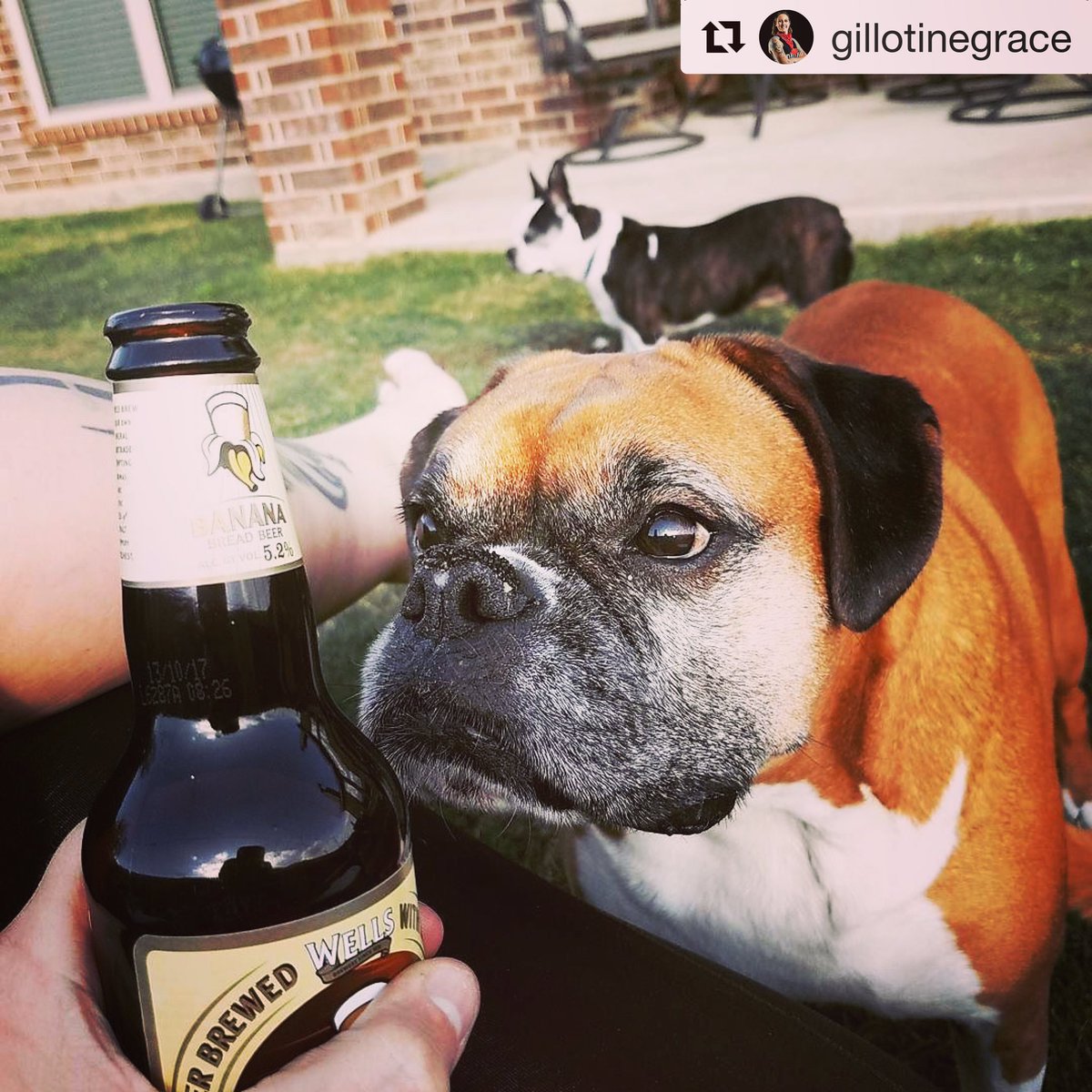 We know that look- Thirsty!  #wellsbananabreadbeer #craftbeer #delicious