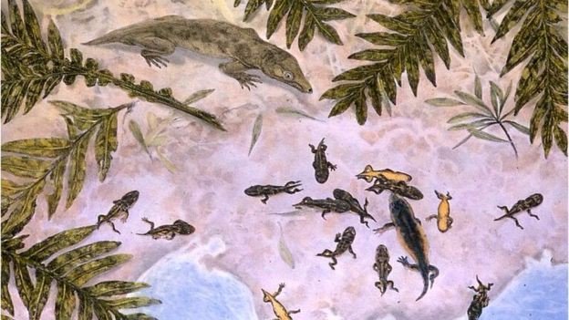 View image on Twitter