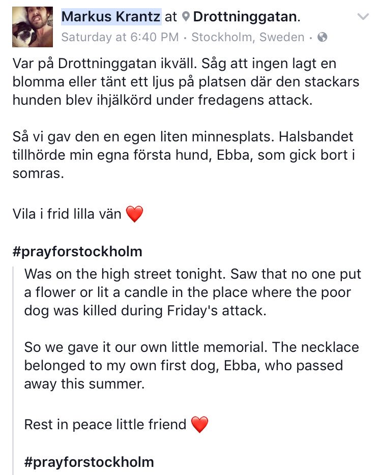 dog_rates's tweet image. This is Iggy. He was a rescue dog killed in the Stockholm attack. His memorial started with a collar and four bones. It&apos;s grown a bit. 14/10