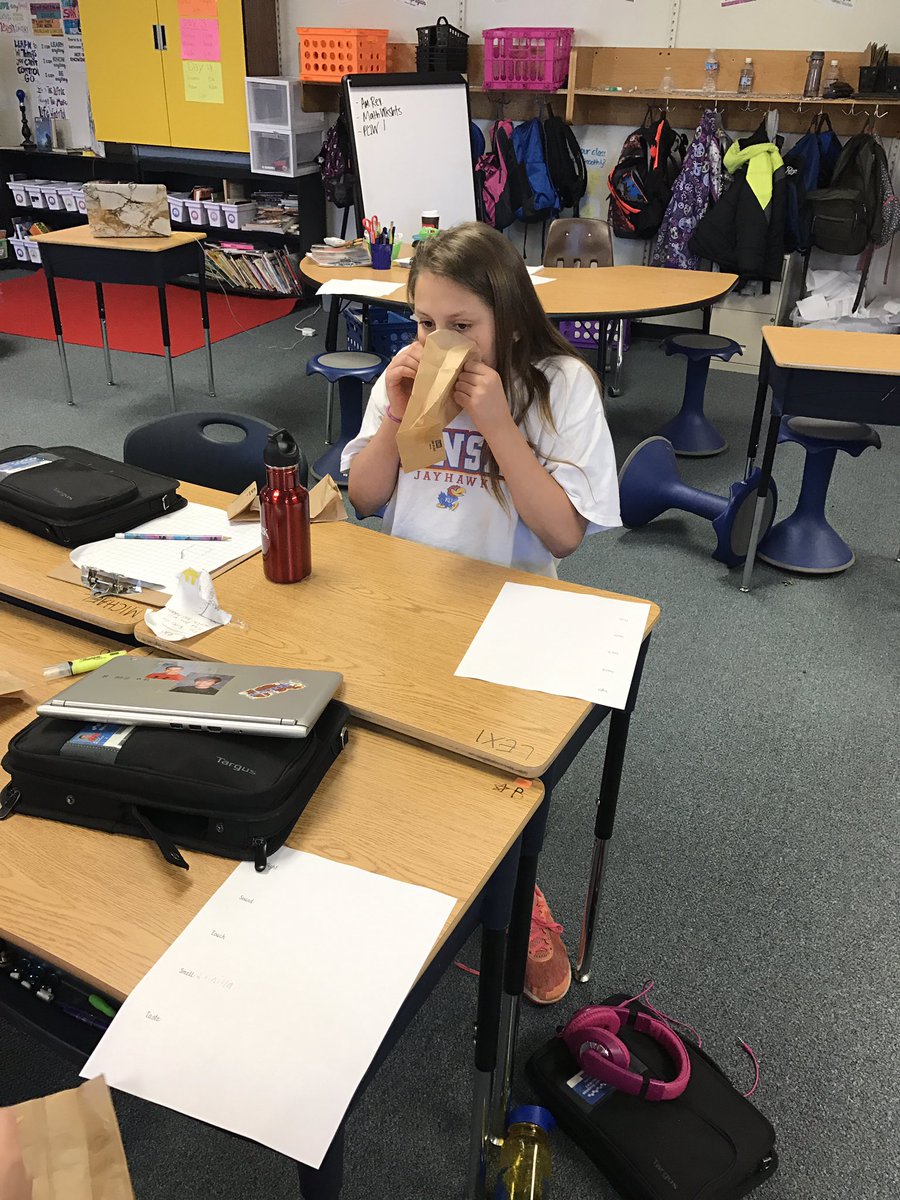 MrFarleyAD's tweet photo. #PLTW Senses Stations! Testing out how keen our five senses are with some brain stimulating activities. #lpsad #lpsleads https://t.co/ZRulQJRnJF