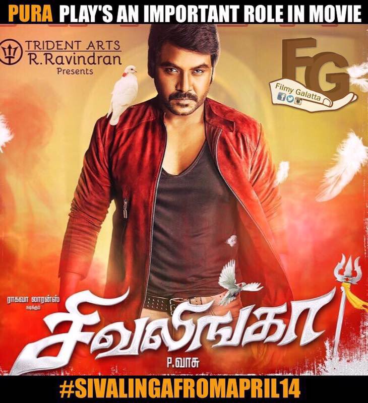 Kollywood_Area's tweet photo. #Pura plays an important key role in the movie #4DaysToGoForSivalinga
@offl_Lawrence @ritika_offl https://t.co/ByWUqDmYfd
