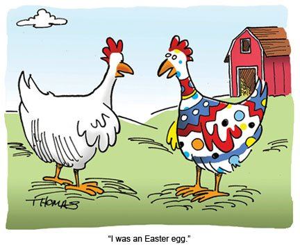 becajun's tweet image. #chickenhumor #ItsBoTime #MyBoLife