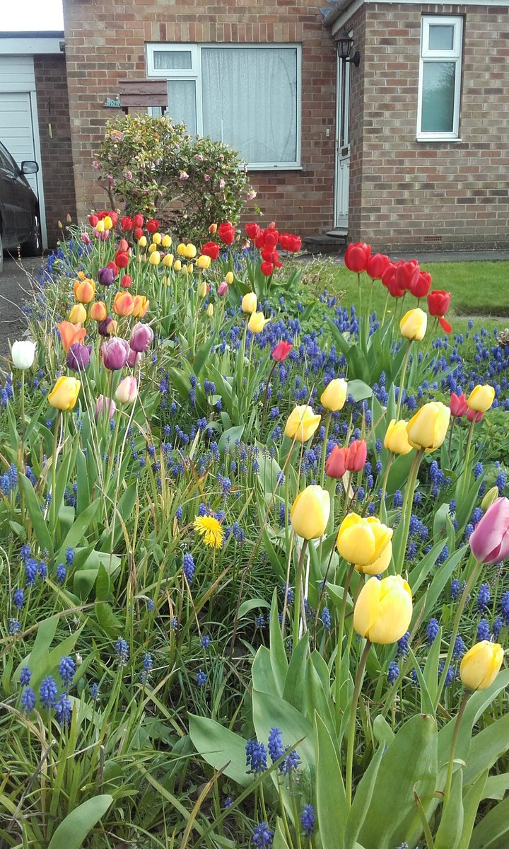 FieldEast's tweet image. 