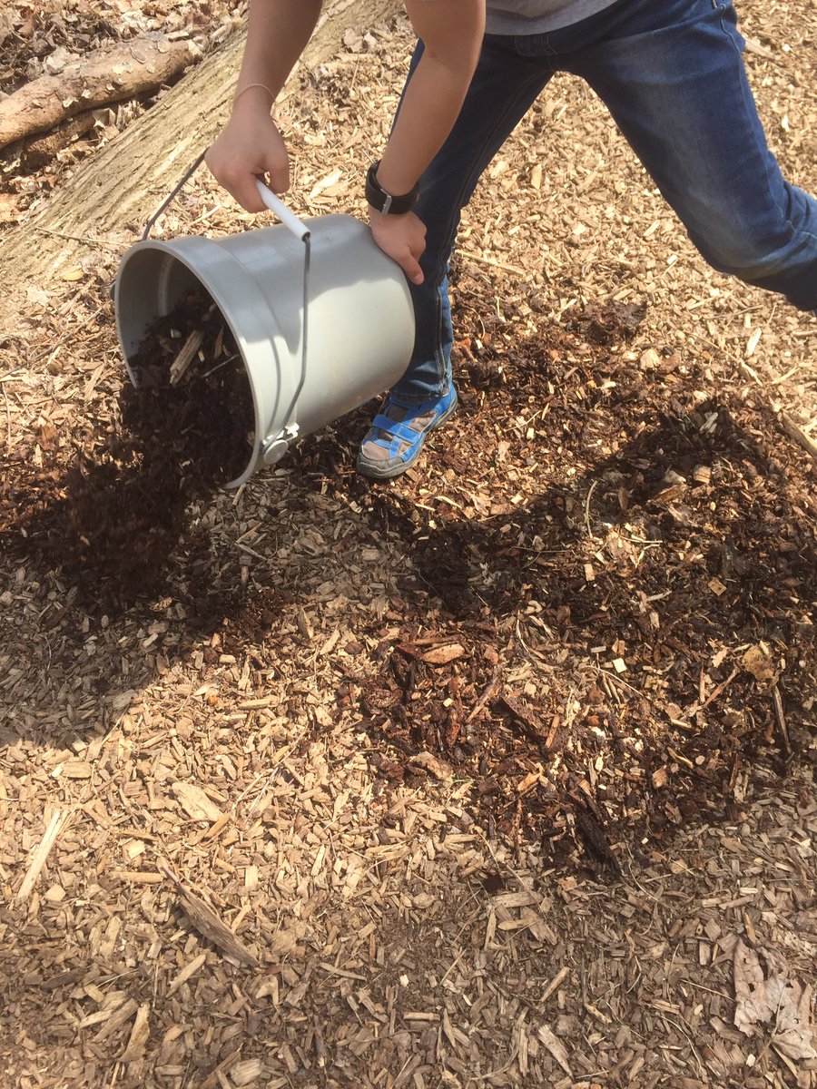 spankyfinch's tweet photo. #TDSBBeverlyGlen gr2/3s protecting plants & animals and the places they live @ForestValleyOEC #EarthRepairProject @TRCA_Trails #cooperation https://t.co/PMdHjSMdEu