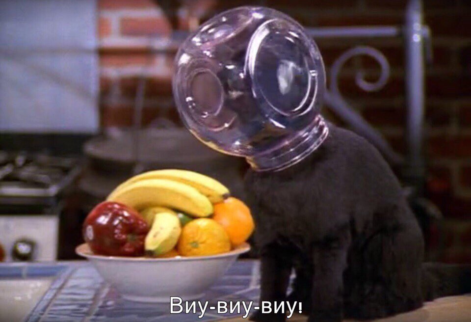 ethanday47's tweet image. Я на протяжении дня: