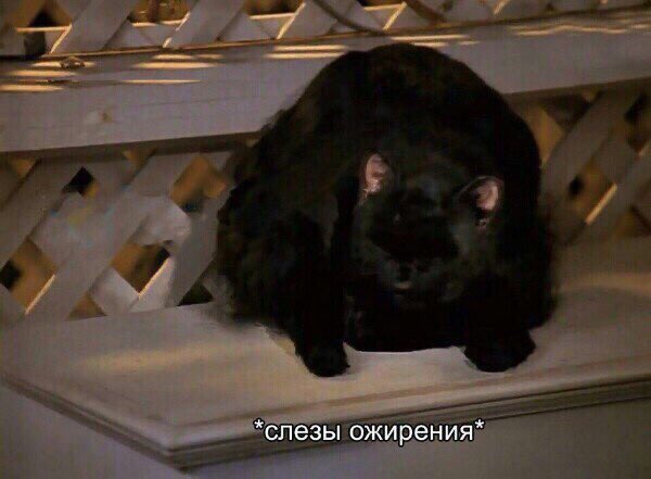 ethanday47's tweet image. Я на протяжении дня: