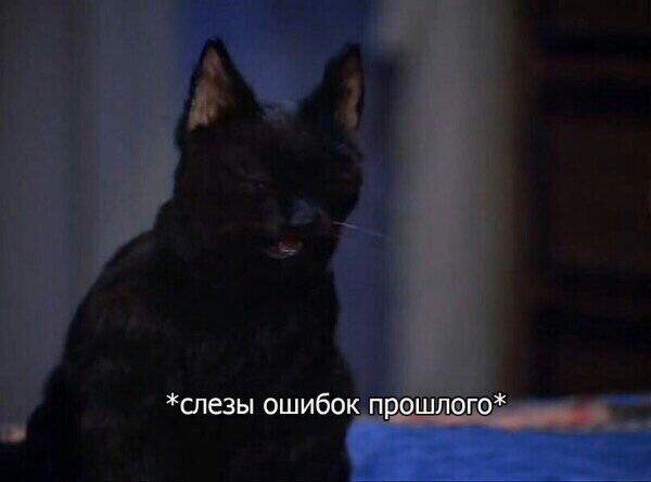 ethanday47's tweet image. Я на протяжении дня: