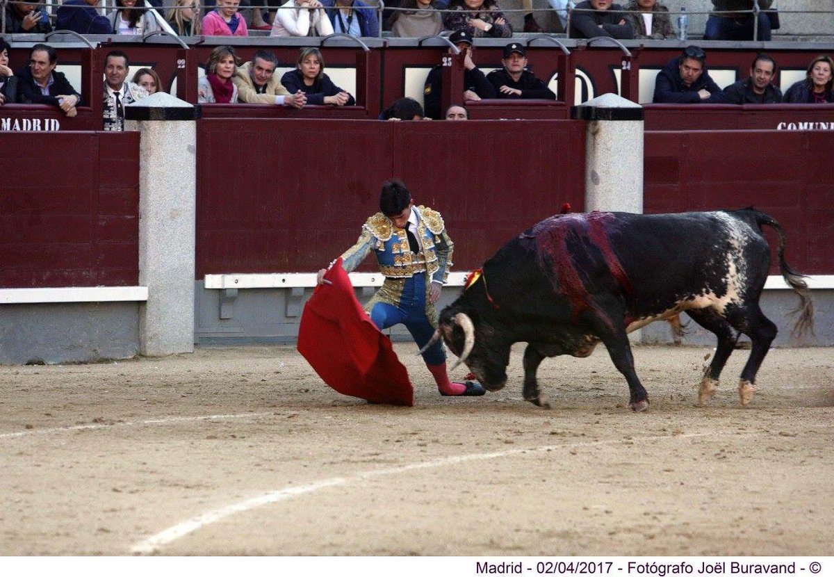 Tomas Campuzano tweet media