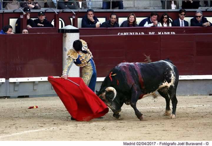 Tomas Campuzano tweet media