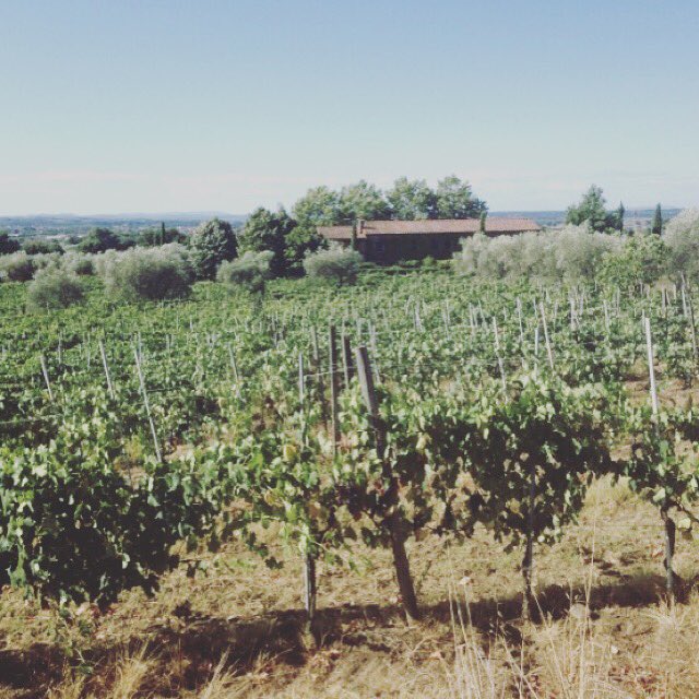 sugarella_cooks's tweet image. ☀️Summer plans? ☀️We have cooking opportunities in houses all over Europe. E: ella@sugarellacooks.co.uk to find your dream job.⠀
#cookingjob