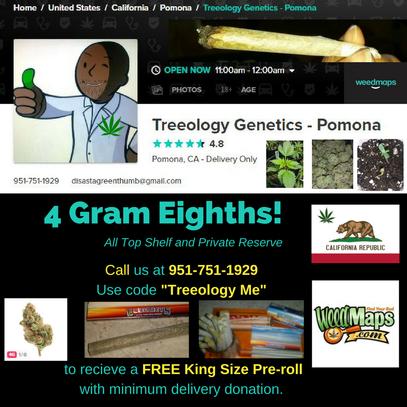 TreeologyGen's tweet photo. #mondaymotivation #Treeologygenetics https://t.co/ROMF5Q29FW