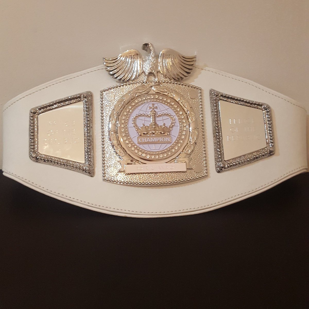 TheWildKJ's tweet photo. 9th July Fighting for this beauty "Prince of the Republic" Championship at Longfield centre in Trowbridge for @P_R_O_W_  #gold https://t.co/zRcqDh4hCz